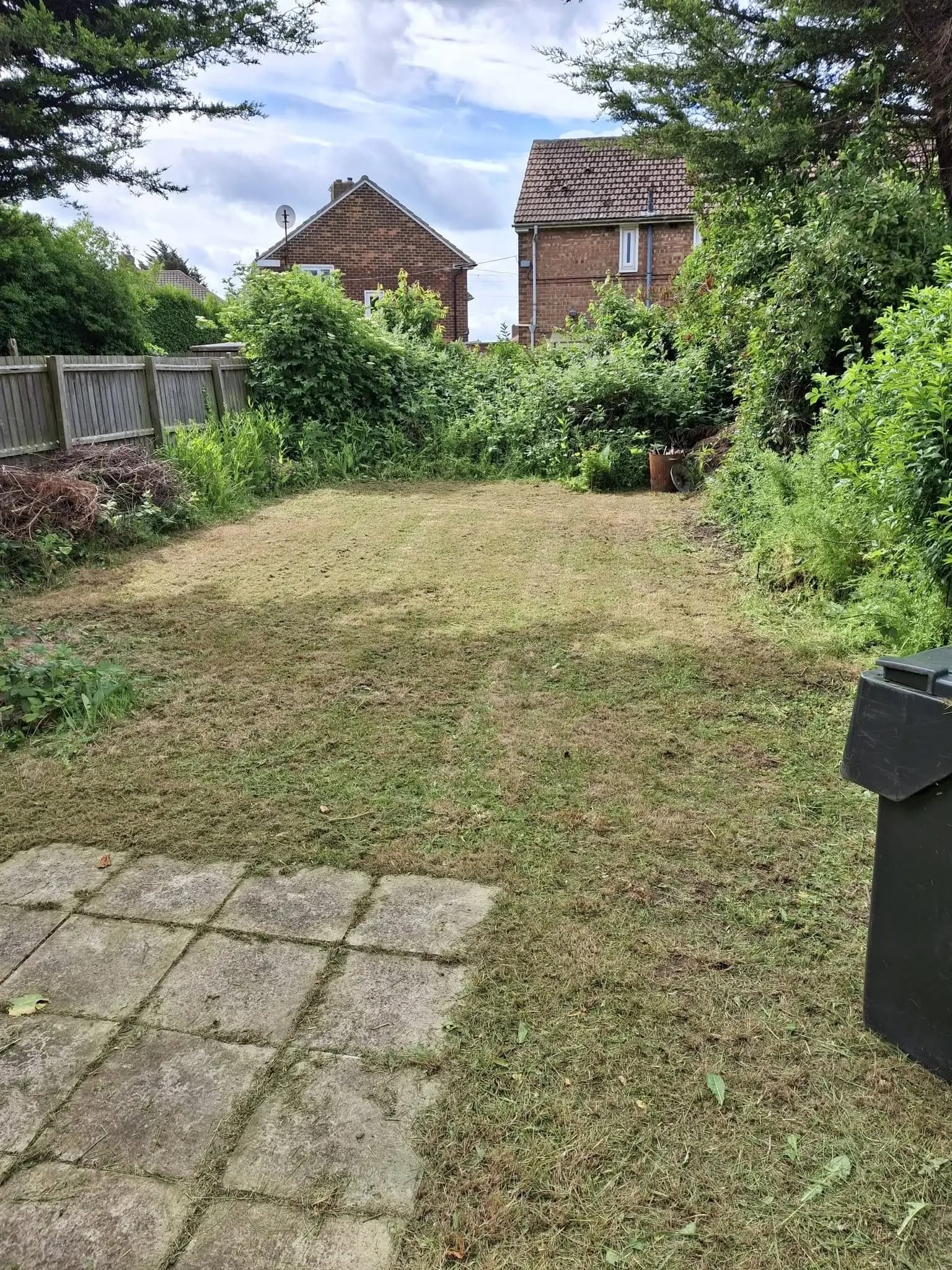 Grass